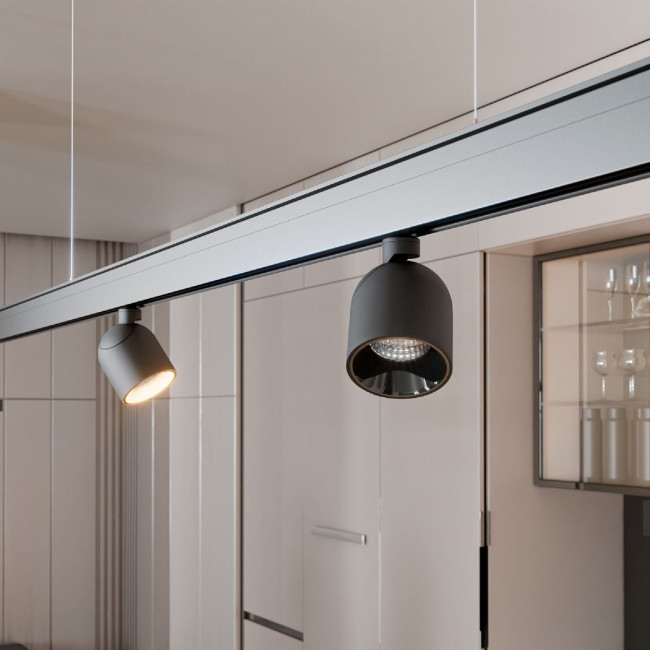 Трековый магнитный светильник Elektrostandard Slim Magnetic 4690389202018 85109/01 a065258 Трековый магнитный светильник Elektrostandard Slim Magnetic 4690389202018 85109/01 a065258