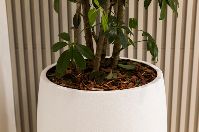 Кашпо CIGAR NERO Кашпо CIGAR NERO