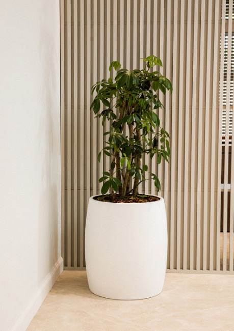 Кашпо CIGAR NERO Кашпо CIGAR NERO