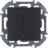 Выключатель двухклавишный Legrand Inspiria 673623