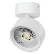 Накладной светильникAlta Pro Lightstar A5646SO