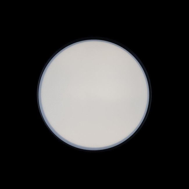 Потолочный светильник Loft IT AXEL 10002/12 Black Потолочный светильник Loft IT AXEL 10002/12 Black