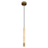 Подвесной светильник Loft IT Everest 10583D Bronze