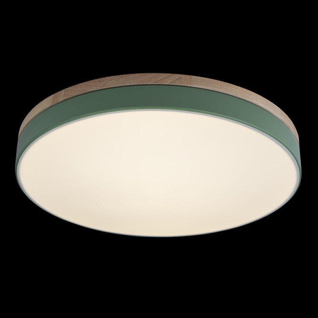 Потолочный светильник Loft IT AXEL 10001/36 Green Потолочный светильник Loft IT AXEL 10001/36 Green