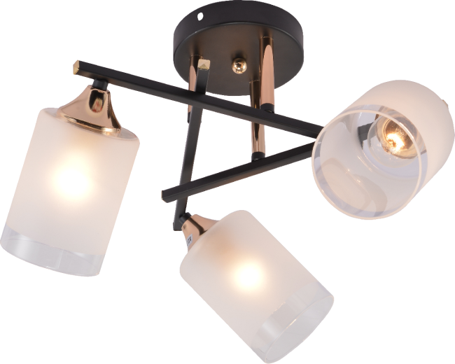 Потолочная люстра Rivoli Fiona 3163-303 Б0059259 Потолочная люстра Rivoli Fiona 3163-303 Б0059259