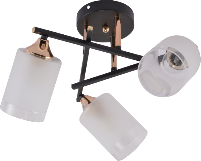 Потолочная люстра Rivoli Fiona 3163-303 Б0059259 Потолочная люстра Rivoli Fiona 3163-303 Б0059259