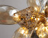 Подвесная люстра Delight Collection Britannica 8898P/BL gold/smoky Подвесная люстра Delight Collection Britannica 8898P/BL gold/smoky