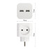 Разветвитель электрический Эра SP-2-USB-W Б0049531 Разветвитель электрический Эра SP-2-USB-W Б0049531