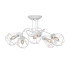 Потолочная люстра Vitaluce V4930-0/5PL Потолочная люстра Vitaluce V4930-0/5PL
