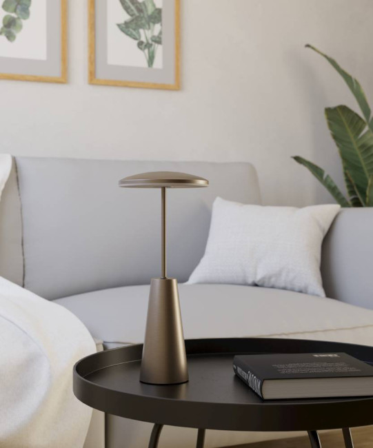 Уличная настольная лампа Eglo Piccola 900924