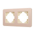 Рамка на 2 поста алюминиевая Arlight FRM-AKIRY-SFAL-2-GD 049739