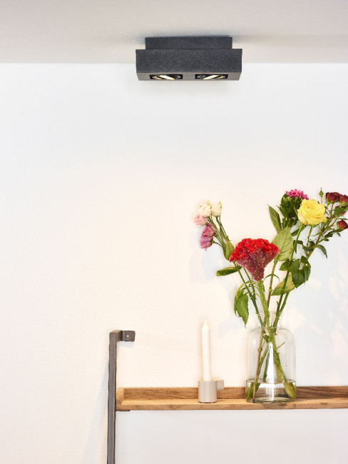 Накладной светильник Lucide Xirax 09119/11/30 Накладной светильник Lucide Xirax 09119/11/30