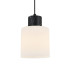 Подвесной светильник Escada Lord 2133/1S Подвесной светильник Escada Lord 2133/1S