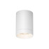 Уличный потолочный светильник Maytoni Luxe O500CL-L10W3K Уличный потолочный светильник Maytoni Luxe O500CL-L10W3K