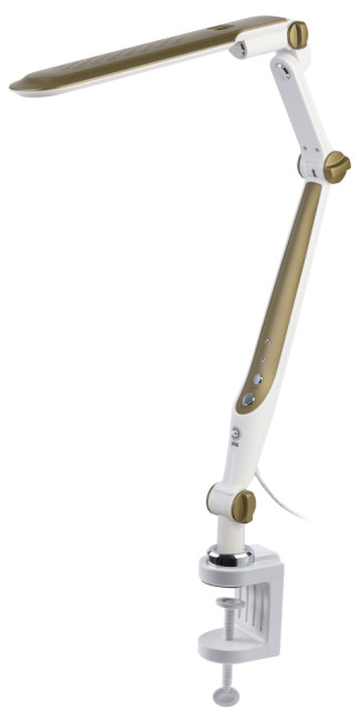 Настольная лампа Эра NLED-496-12W-G Б0052769 Настольная лампа Эра NLED-496-12W-G Б0052769