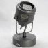 Спот Lussole Loft Haines LSP-8045 Спот Lussole Loft Haines LSP-8045