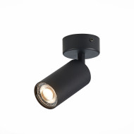 Потолочный светильник ST LUCE ST303.402.01 Потолочный светильник ST LUCE ST303.402.01