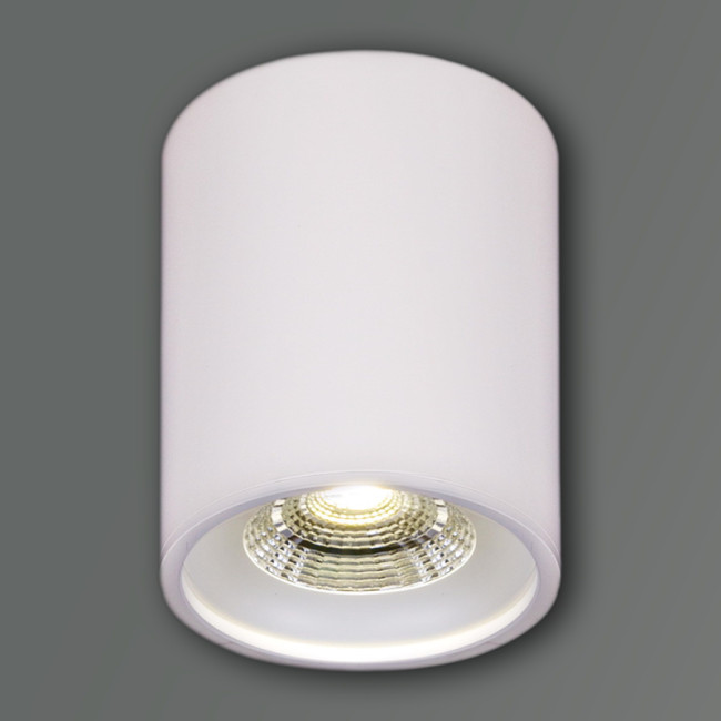 Накладной светильник Reluce 81117-9.5-001RT LED10W WT Накладной светильник Reluce 81117-9.5-001RT LED10W WT