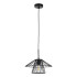Подвесной светильник Indigo Strato 10016/1P Black V000286 Подвесной светильник Indigo Strato 10016/1P Black V000286