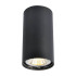Потолочный светильник Arte Lamp A1516PL-1BK Потолочный светильник Arte Lamp A1516PL-1BK