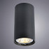Потолочный светильник Arte Lamp A1516PL-1BK Потолочный светильник Arte Lamp A1516PL-1BK