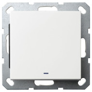 Выключатель одноклавишный со светодиодом Jasmart в комплекте с накладкой 10A 250V белый глянцевый G3011NW