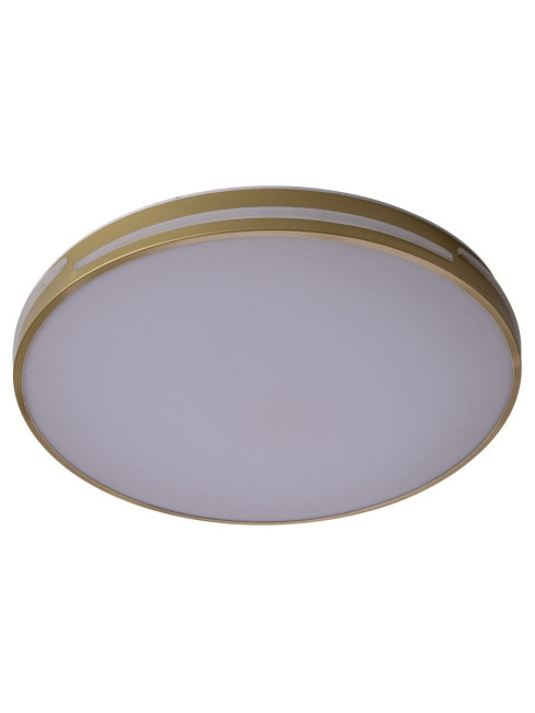 Потолочный светильник Zortes Gabby ZRS.90610.50 Потолочный светильник Zortes Gabby ZRS.90610.50