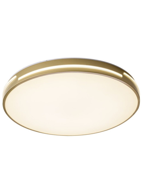 Потолочный светильник Zortes Gabby ZRS.90610.50 Потолочный светильник Zortes Gabby ZRS.90610.50