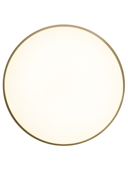 Потолочный светильник Zortes Gabby ZRS.90610.50 Потолочный светильник Zortes Gabby ZRS.90610.50