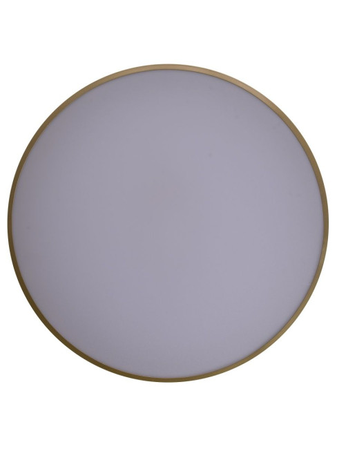 Потолочный светильник Zortes Gabby ZRS.90610.50 Потолочный светильник Zortes Gabby ZRS.90610.50