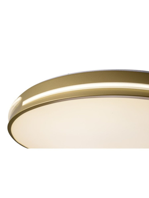 Потолочный светильник Zortes Gabby ZRS.90610.50 Потолочный светильник Zortes Gabby ZRS.90610.50