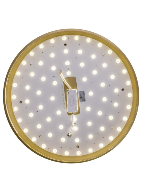 Потолочный светильник Zortes Gabby ZRS.90610.50 Потолочный светильник Zortes Gabby ZRS.90610.50