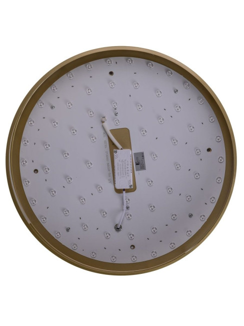 Потолочный светильник Zortes Gabby ZRS.90610.50 Потолочный светильник Zortes Gabby ZRS.90610.50