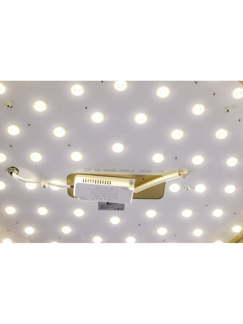 Потолочный светильник Zortes Gabby ZRS.90610.50 Потолочный светильник Zortes Gabby ZRS.90610.50