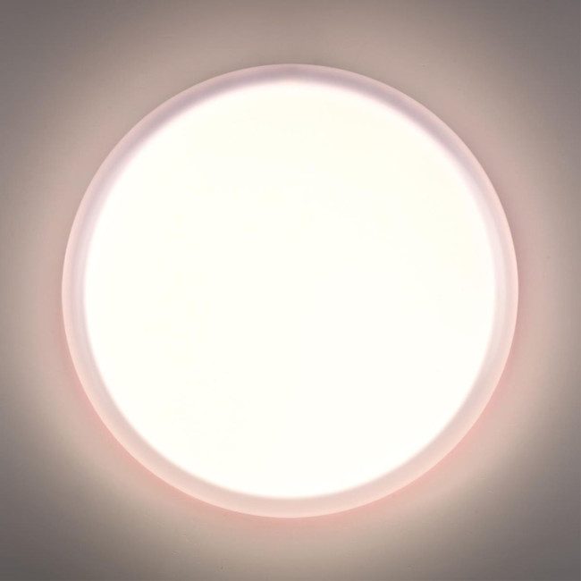 Настенно-потолочный светильник Sonex Pale Jolly 7776/ELN
