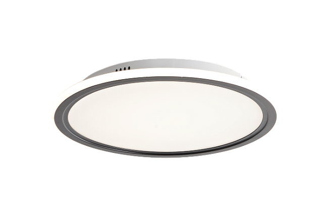 Потолочный светильник Zortes Galo ZRS.10112.01 Потолочный светильник Zortes Galo ZRS.10112.01