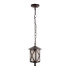 Уличный подвесной светильник Loft IT Ravenna 100016P Уличный подвесной светильник Loft IT Ravenna 100016P