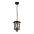 Уличный подвесной светильник Loft IT Ravenna 100016P Уличный подвесной светильник Loft IT Ravenna 100016P