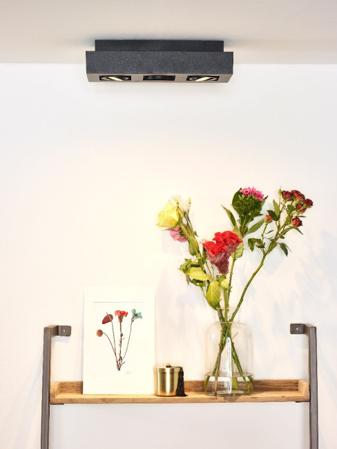 Накладной светильник Lucide Xirax 09119/16/30 Накладной светильник Lucide Xirax 09119/16/30