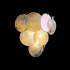 Настенный светильник LOFT IT Lolly 10492W Pearl Настенный светильник LOFT IT Lolly 10492W Pearl