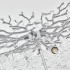 Торшер Arte Milano Milan 235011/H1650/5/C Cr