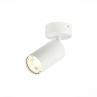 Потолочный светильник ST LUCE ST303.502.01 Потолочный светильник ST LUCE ST303.502.01