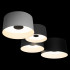 Потолочный светильник Loft IT Duo 10360/4 Потолочный светильник Loft IT Duo 10360/4