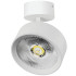 Накладной светильник Alta Pro Lightstar A5736SO