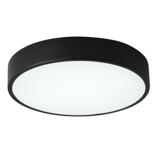 Потолочный светильник Zortes Tortty ZRS.02563.48 Потолочный светильник Zortes Tortty ZRS.02563.48