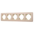 Рамка на 5 постов алюминиевая Arlight FRM-AKIRY-SFAL-5-GD 049748 Рамка на 5 постов алюминиевая Arlight FRM-AKIRY-SFAL-5-GD 049748