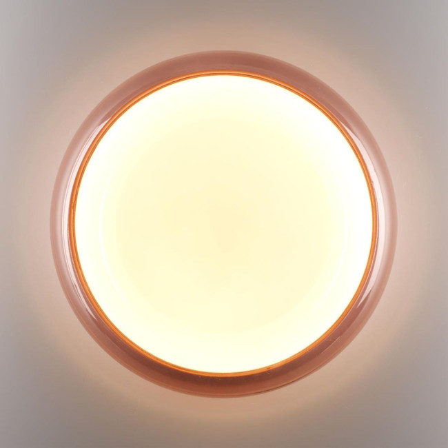 Настенно-потолочный светильник Sonex Color Portman 7778/ELN