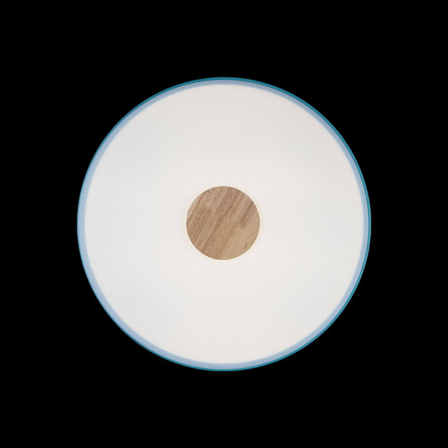 Потолочный светильник Loft IT AXEL 10003/24 Blue Потолочный светильник Loft IT AXEL 10003/24 Blue