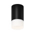 Уличный потолочный светильник Maytoni Ember O499CL-L10B3K