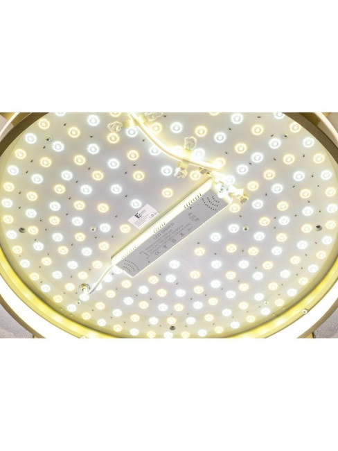 Потолочный светильник Zortes Gerda ZRS.1097.60 Потолочный светильник Zortes Gerda ZRS.1097.60